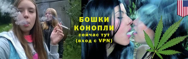 spice Карпинск