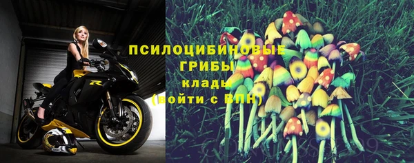 spice Карпинск