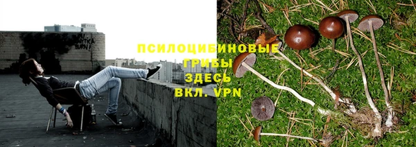 кокаин Касимов