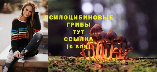 гашик Карталы
