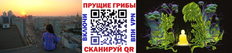 Галлюциногенные грибы Magic Shrooms  Купить  Заозёрск 